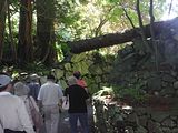 06 - Butchard Gardens  - IMGA0250